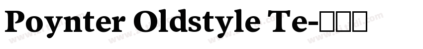 Poynter Oldstyle Te字体转换